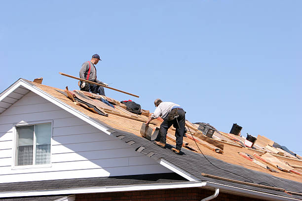 Best Roof Maintenance and Cleaning  in El Dorado, AR